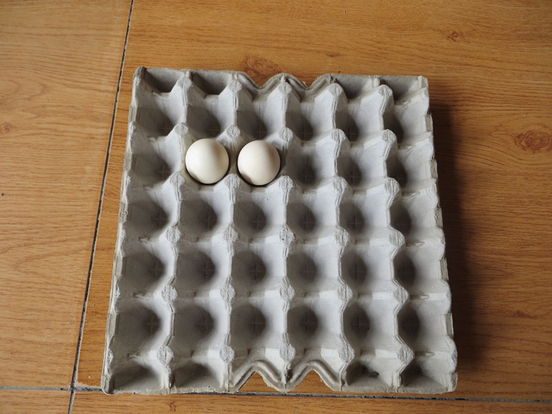 Egg Tray Produced by Beston Egg Tray Forming Machine